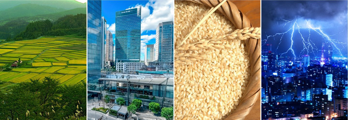 （株）BOOST SWITCH/ブーストスイッチ