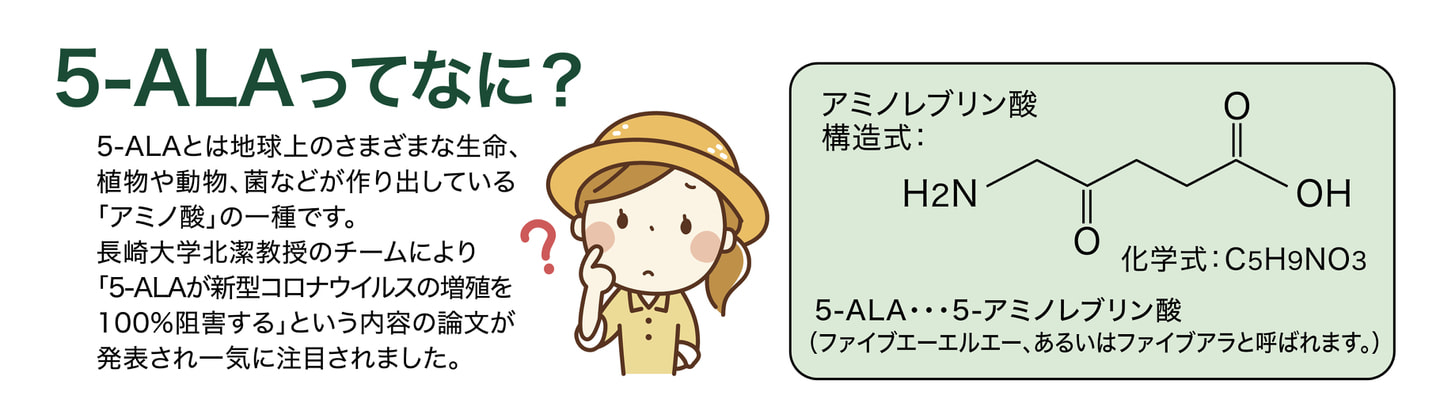 ブーストスイッチ アグリA-1