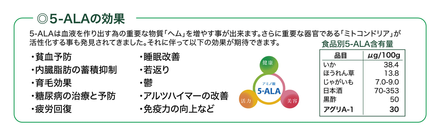ブーストスイッチ アグリA-1