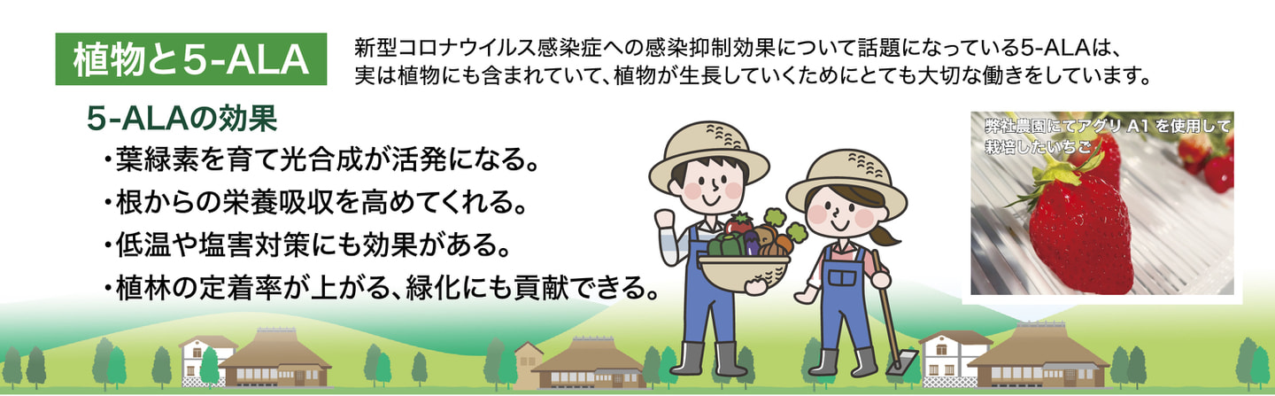 ブーストスイッチ アグリA-1